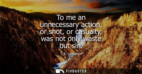 Small: To me an unnecessary action, or shot, or casualty, was not only waste but sin