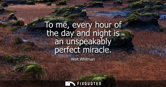 Small: To me, every hour of the day and night is an unspeakably perfect miracle