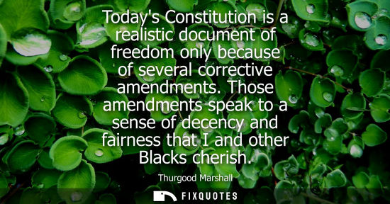 Small: Todays Constitution is a realistic document of freedom only because of several corrective amendments.