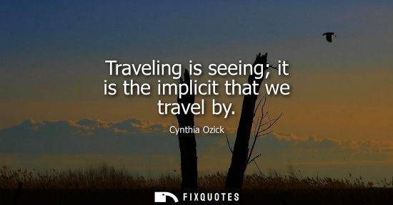 Small: Traveling is seeing it is the implicit that we travel by
