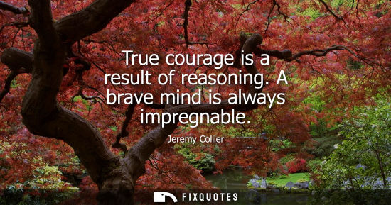 Small: True courage is a result of reasoning. A brave mind is always impregnable