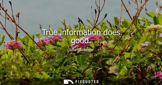 Small: Julian Assange: True information does good