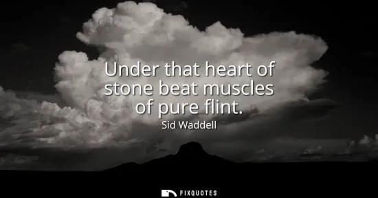 Small: Under that heart of stone beat muscles of pure flint