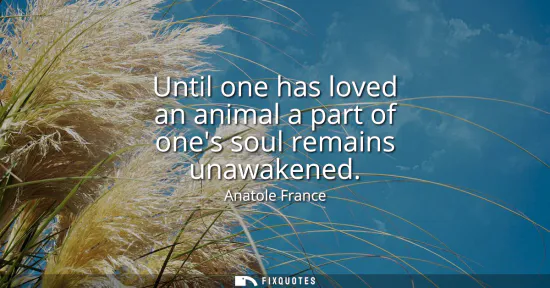 Small: Until one has loved an animal a part of ones soul remains unawakened