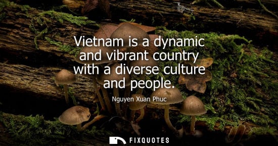 Small: Vietnam is a dynamic and vibrant country with a diverse culture and people