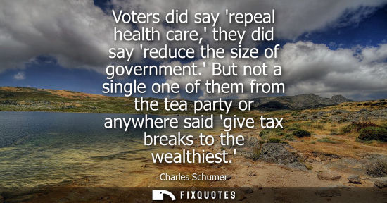 Small: Voters did say repeal health care, they did say reduce the size of government. But not a single one of 