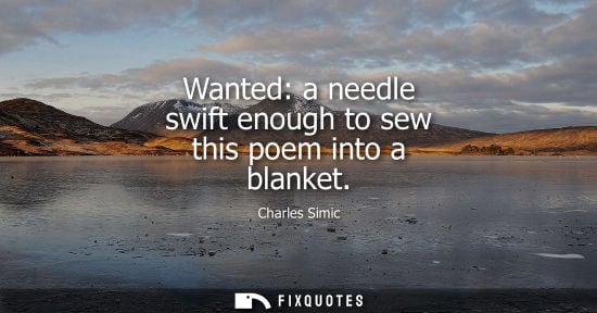 Small: Wanted: a needle swift enough to sew this poem into a blanket - Charles Simic