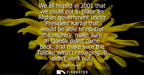 Small: We all hoped in 2001 that we could put in place an Afghan government under President Karzai that would 