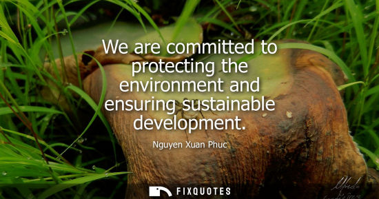 Small: We are committed to protecting the environment and ensuring sustainable development
