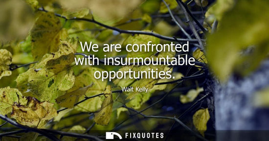 Small: We are confronted with insurmountable opportunities