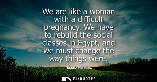 Small: We are like a woman with a difficult pregnancy. We have to rebuild the social classes in Egypt, and we must ch