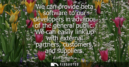 Small: We can provide beta software to our developers in advance of the general public. We can easily link up with ex