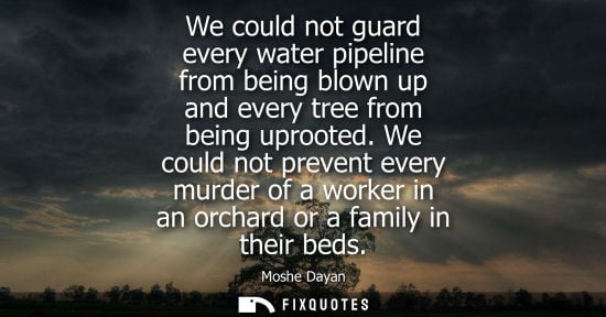 Small: We could not guard every water pipeline from being blown up and every tree from being uprooted.