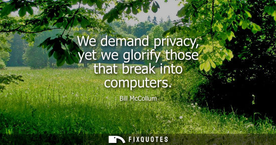Small: We demand privacy, yet we glorify those that break into computers - Bill McCollum