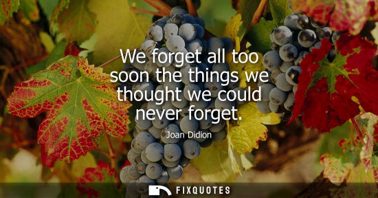 Small: We forget all too soon the things we thought we could never forget