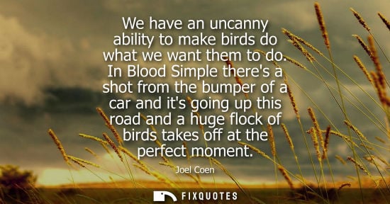 Small: We have an uncanny ability to make birds do what we want them to do. In Blood Simple theres a shot from