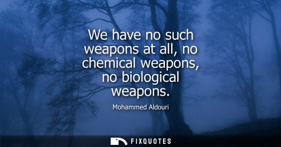 Small: We have no such weapons at all, no chemical weapons, no biological weapons