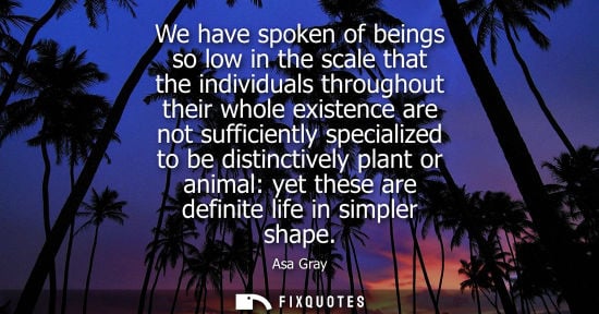 Small: We have spoken of beings so low in the scale that the individuals throughout their whole existence are 