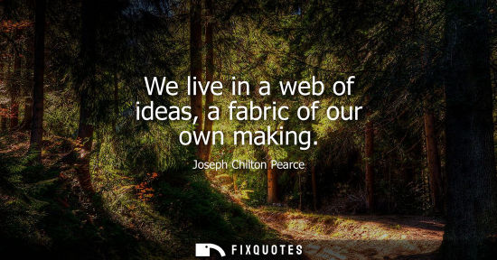 Small: We live in a web of ideas, a fabric of our own making