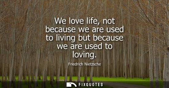 Small: Friedrich Nietzsche - We love life, not because we are used to living but because we are used to loving