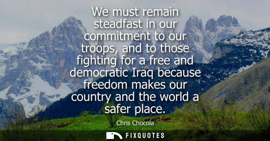 Small: We must remain steadfast in our commitment to our troops, and to those fighting for a free and democrat