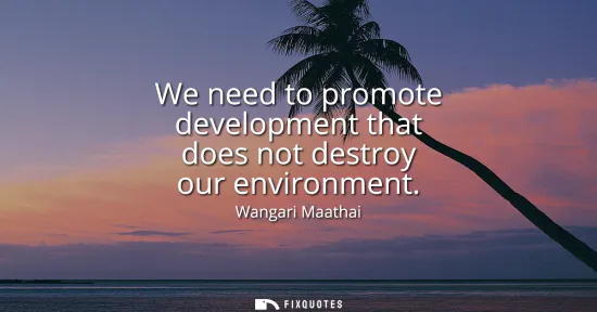 Small: We need to promote development that does not destroy our environment