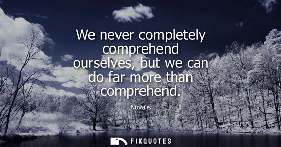Small: We never completely comprehend ourselves, but we can do far more than comprehend