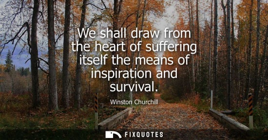Small: We shall draw from the heart of suffering itself the means of inspiration and survival - Winston Churchill