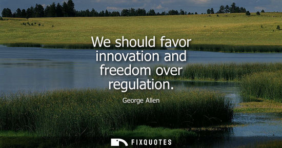 Small: We should favor innovation and freedom over regulation