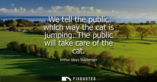 Small: We tell the public which way the cat is jumping. The public will take care of the cat