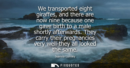 Small: We transported eight giraffes, and there are now nine because one gave birth to a male shortly afterwar