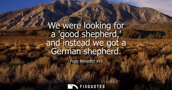 Small: We were looking for a good shepherd, and instead we got a German shepherd