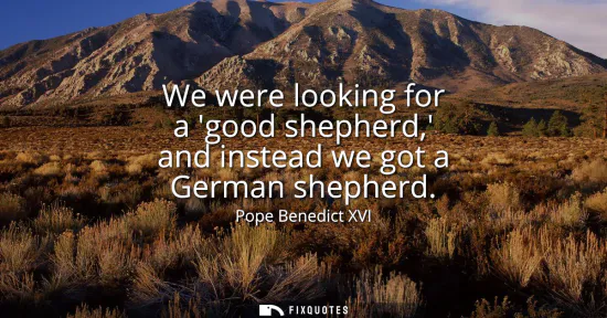 Small: We were looking for a good shepherd, and instead we got a German shepherd