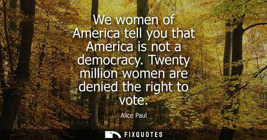 Small: We women of America tell you that America is not a democracy. Twenty million women are denied the right