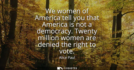 Small: We women of America tell you that America is not a democracy. Twenty million women are denied the right to vot