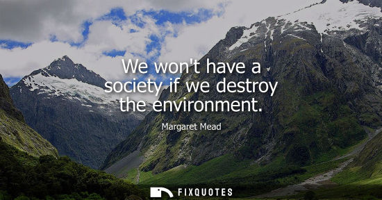 Small: We wont have a society if we destroy the environment - Margaret Mead