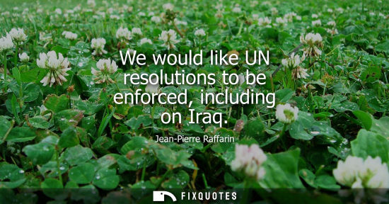 Small: We would like UN resolutions to be enforced, including on Iraq