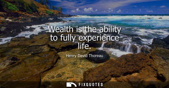 Small: Wealth is the ability to fully experience life