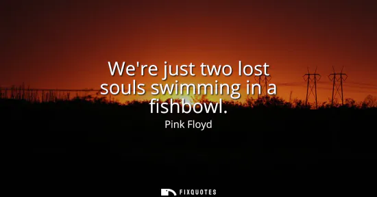 Small: Were just two lost souls swimming in a fishbowl