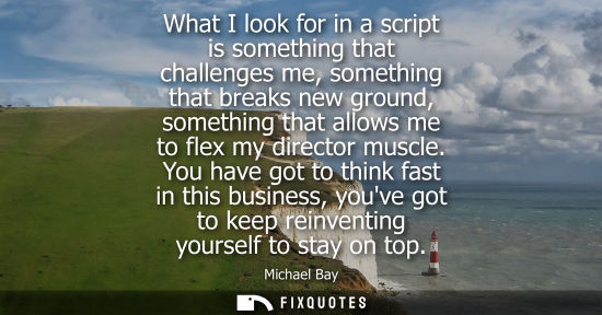 Small: Michael Bay: What I look for in a script is something that challenges me, something that breaks new ground, so