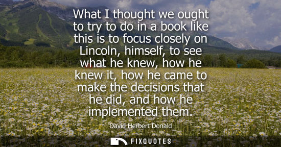 Small: What I thought we ought to try to do in a book like this is to focus closely on Lincoln, himself, to se