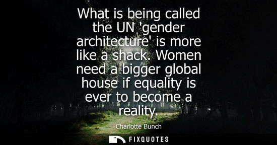 Small: What is being called the UN gender architecture is more like a shack. Women need a bigger global house 
