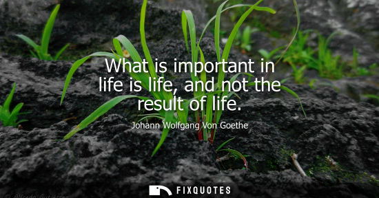 Small: Johann Wolfgang Von Goethe - What is important in life is life, and not the result of life