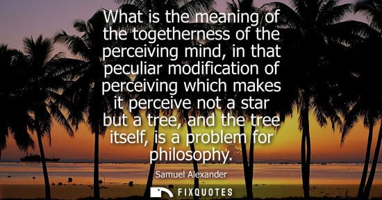 Small: What is the meaning of the togetherness of the perceiving mind, in that peculiar modification of perceiving wh