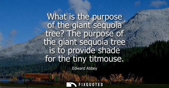 Small: What is the purpose of the giant sequoia tree? The purpose of the giant sequoia tree is to provide shad