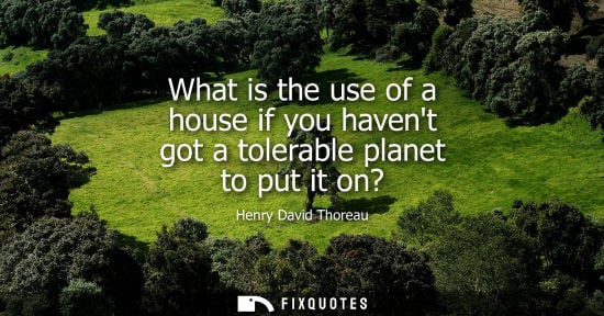 Small: Henry David Thoreau - What is the use of a house if you havent got a tolerable planet to put it on?