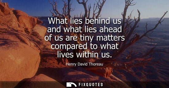 Small: What lies behind us and what lies ahead of us are tiny matters compared to what lives within us