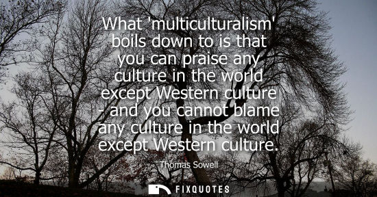 Small: What multiculturalism boils down to is that you can praise any culture in the world except Western culture - a