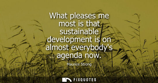 Small: What pleases me most is that sustainable development is on almost everybodys agenda now