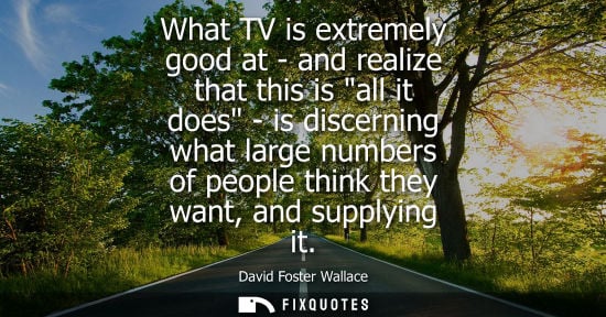 Small: What TV is extremely good at - and realize that this is all it does - is discerning what large numbers 